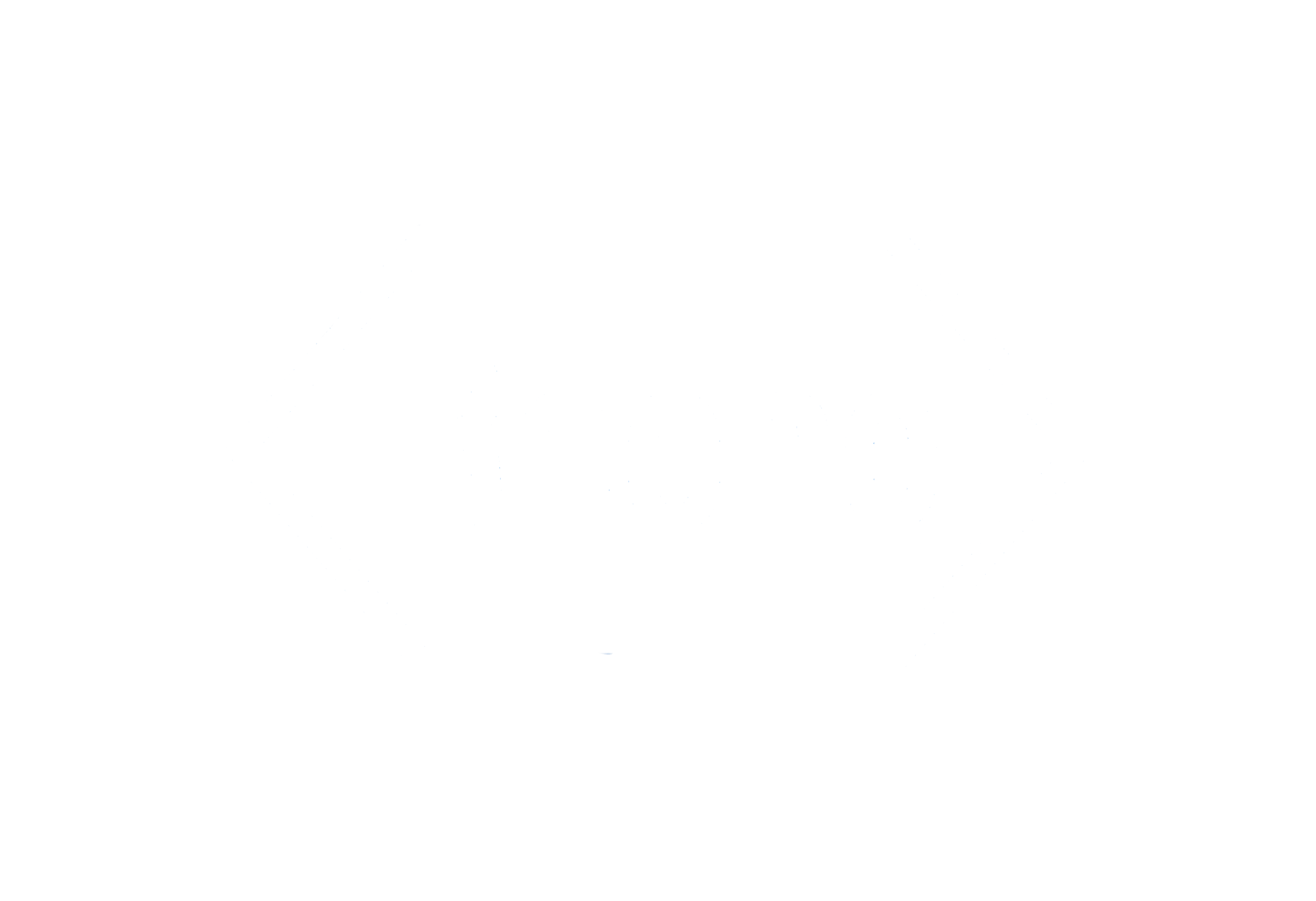 Roche
